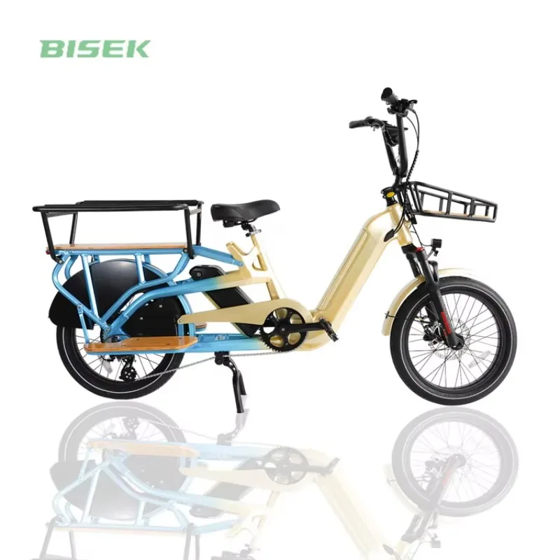 

STLF Family Cargo Bike Customized Electric Bike Electric Bicycle High Quality Cheaper Adult Ebike