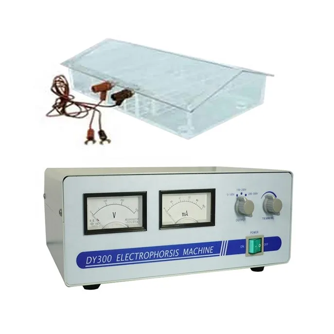 High Quality Automatic Apparatus Equipment Laboratory Electrophoresis  Machine for Laboratory