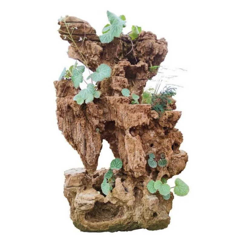 

Shiguang Station Absorbent Stone Natural Stone Bonsai