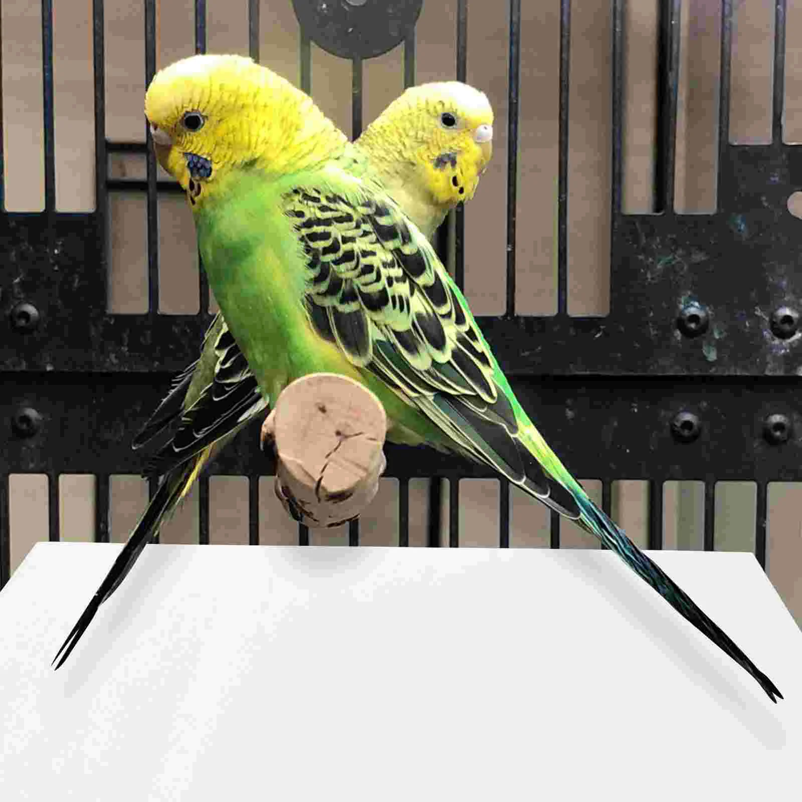 

100pcs Disposable Bird Cage Pads Pet Bird Paper Mats Disposable Cages Cushions bird cage liner paper disposable bird cage cushio