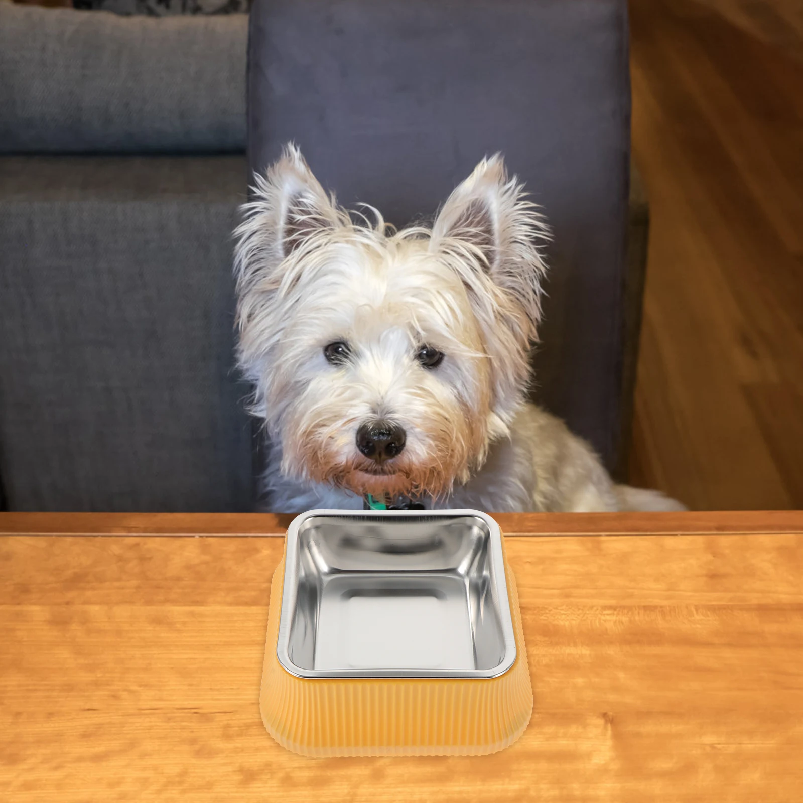 

Large Capacity Anti Slip Dog Bowl Cat Food Serving Bowl Pet Feeder Stainless Steel Plastic Easy Clean Won t for Different