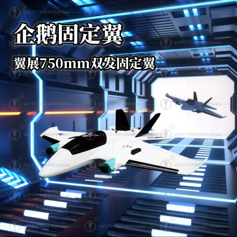 Fixed wing model aircraft fpv penguin twin-engine crossing machine flying novice remote control DIY toy type
