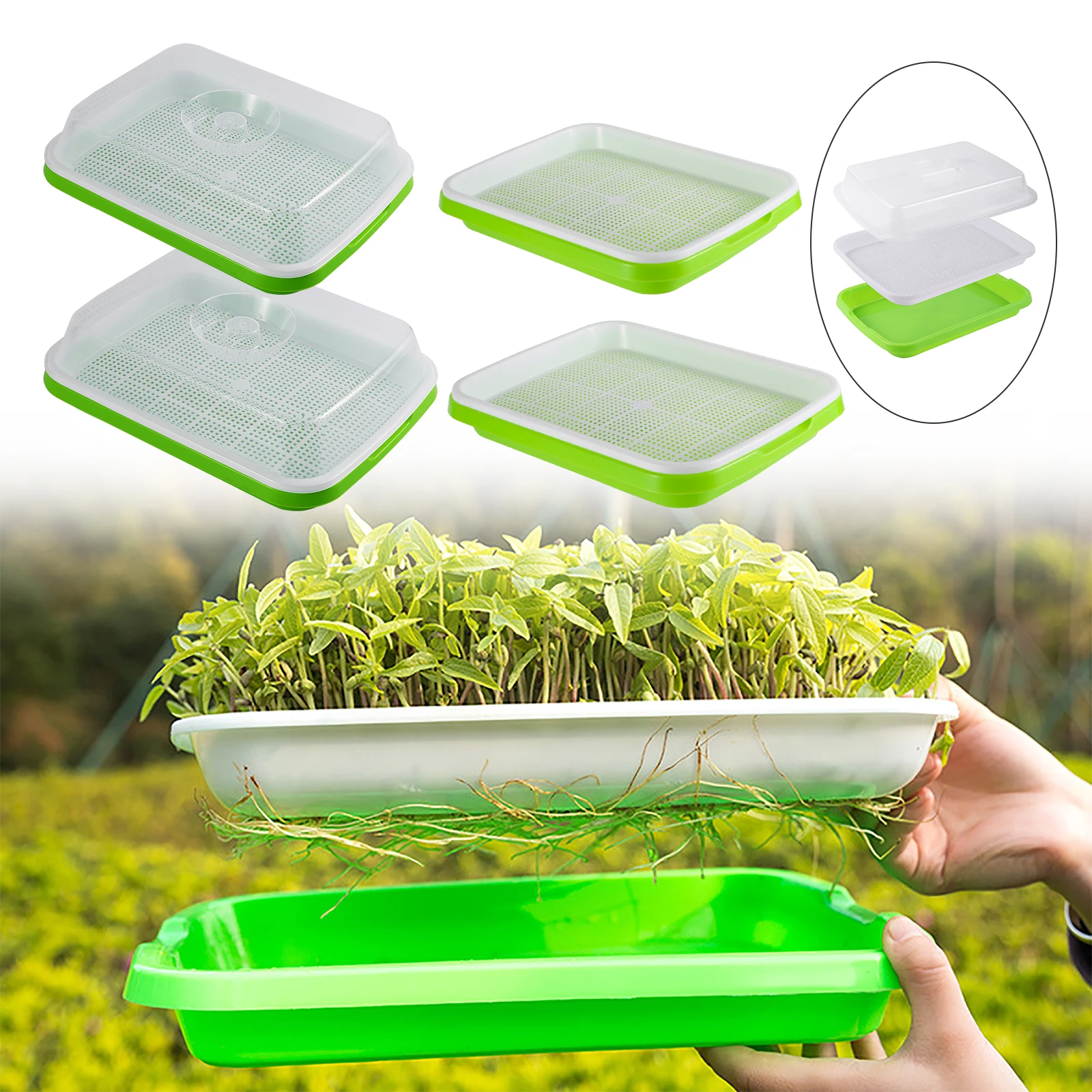 Sprouts Nursery Tray Hydroponic Vegetables Beans Seedling Pot Balcony Growing Basin Household Plants Raising Plate With Lid Kits