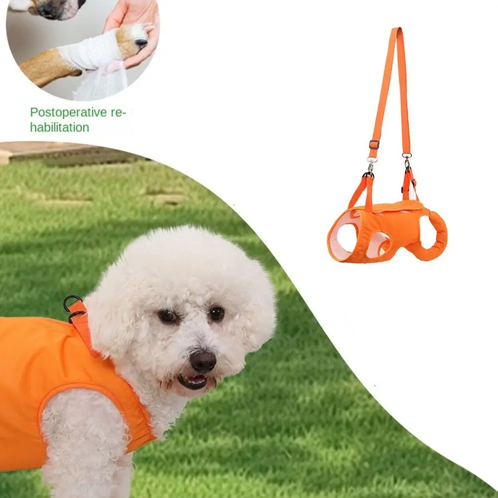 

Adjustable Pet Hind Leg Support Strap Thicken Handle Legs Support Dogs Sling Back Legs Hip Support Soft Lining Breathable