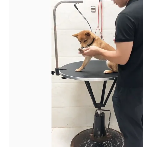 

New Arrival Factory Customize Pets Grooming Pet Lifting Grooming Adjus Dog Grooming