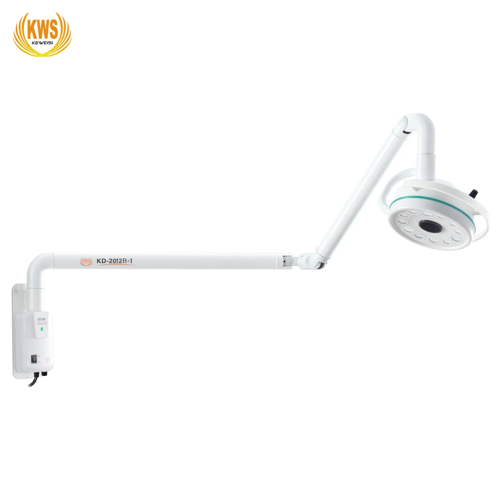 

wall type LED veterinary medical operating surgical lamp oral pant light for clinic