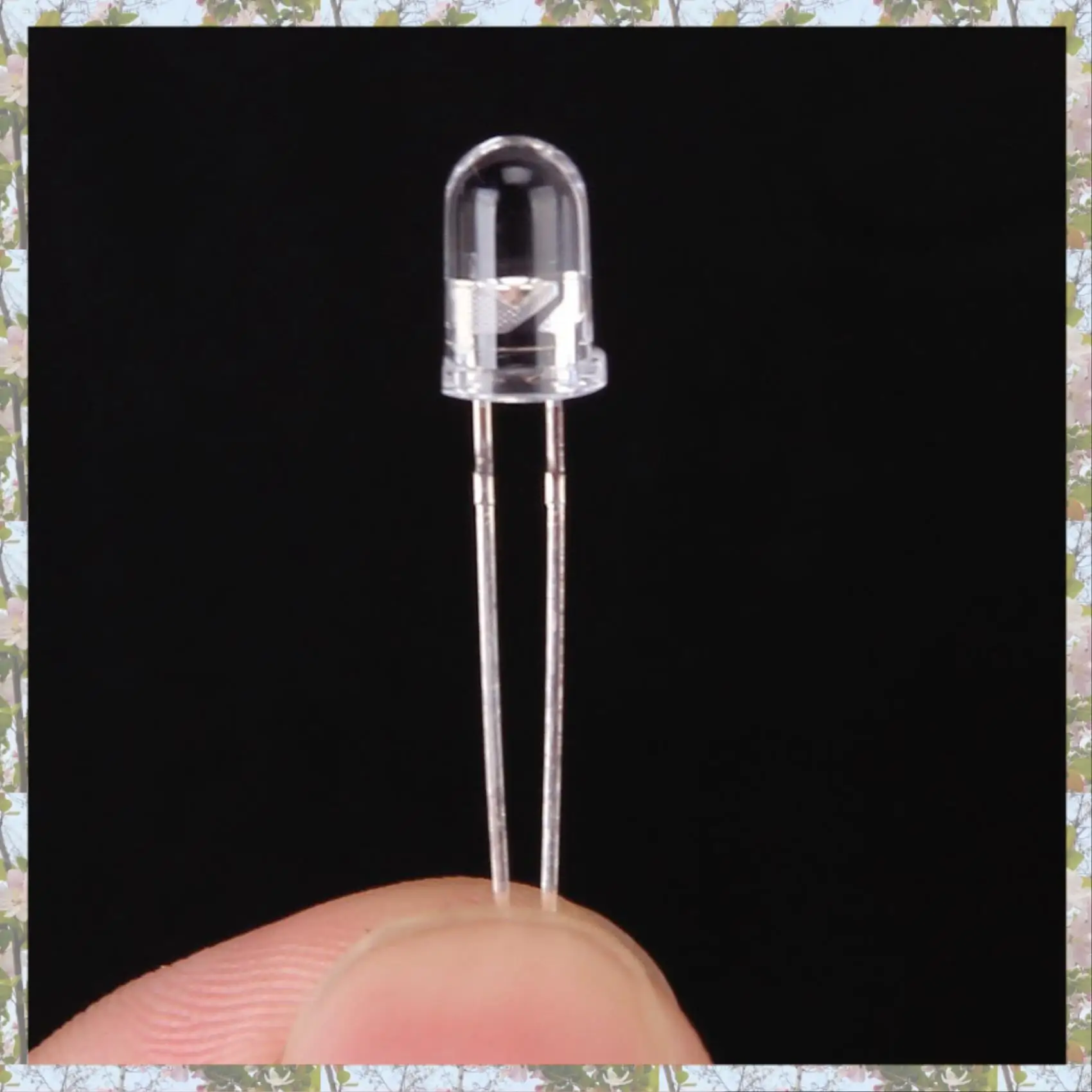 T84C-30Pcs Diodo emisor de luz infrarroja LED IR de 5 mm.
