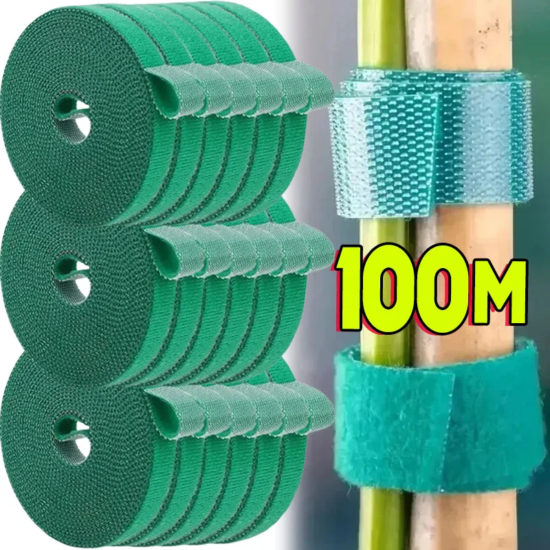 1/100M Adjustable Self Adhesive Plant Nylon Cable Tie Plant Hook Loop Support Garden Twine Bandage Reusable Fastener Tape Strips