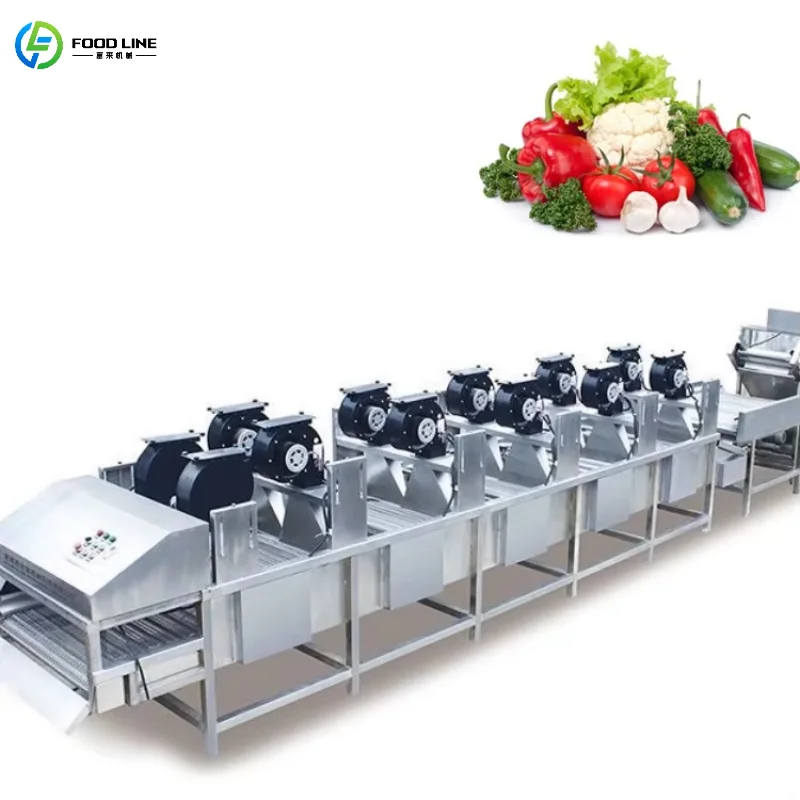 Customized Industrial Fruit and Vegetable Drying Conveyor Belt Mobile Wheels Air Drying Commercial Device