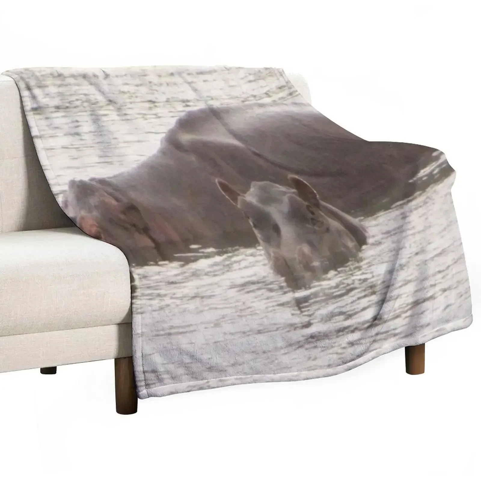 

hippos Throw Blanket sofa bed valentine gift ideas Luxury Designer Polar Blankets