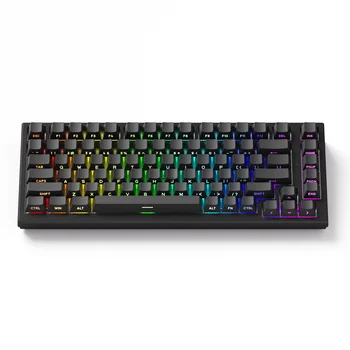 AKKO TAC75 HE Magnetic Switch Keyboard 75% Gaming Keyboards Rapid Trigger 0.005mm 8K RGB…
