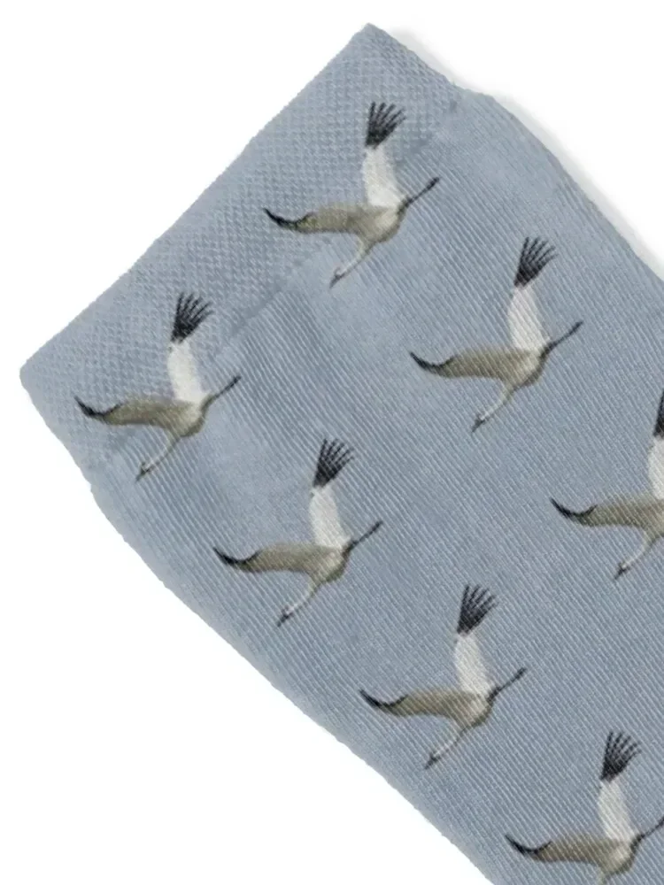 Whooping Crane in Flight Socks summer funny gift Socks Woman Men's