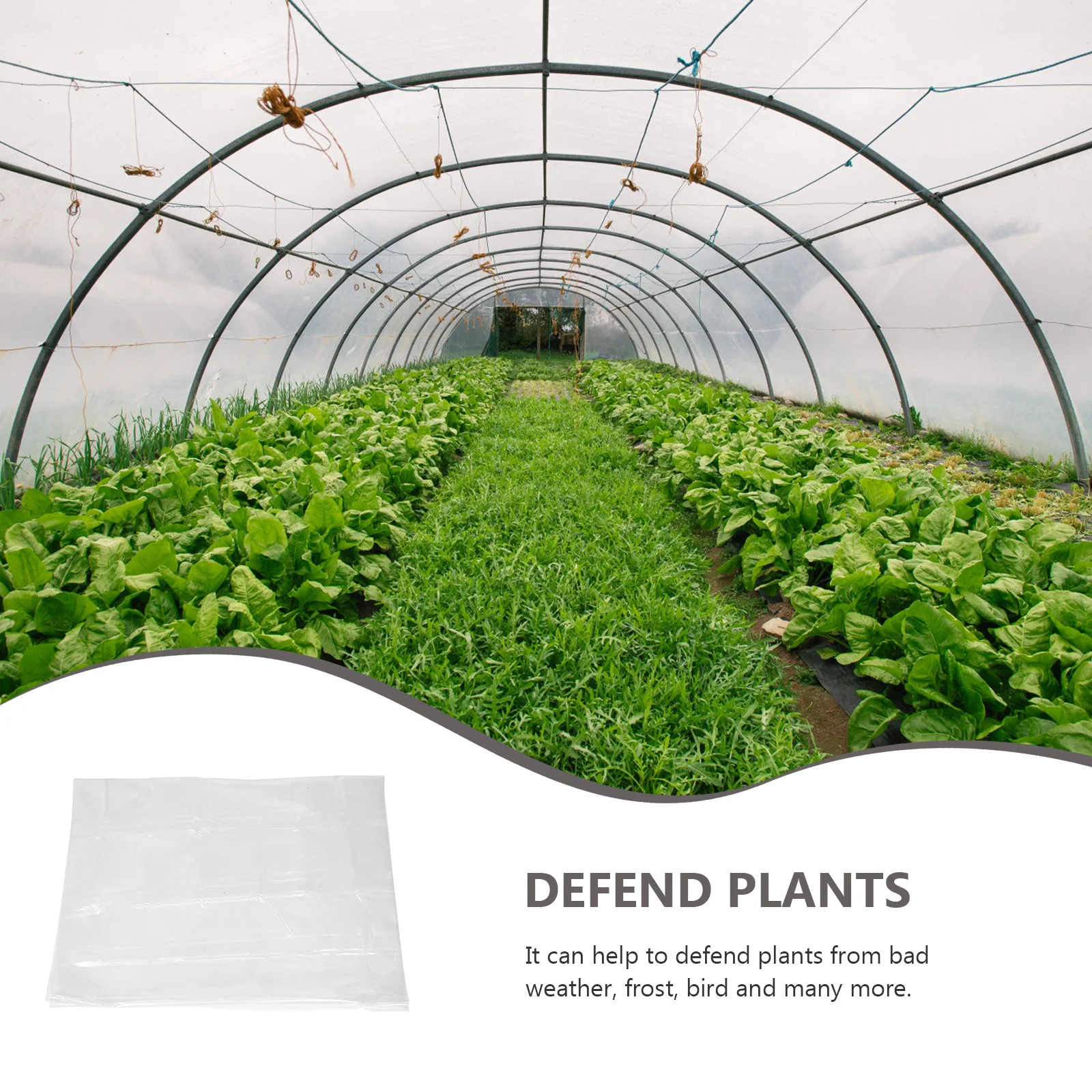 

Durable Antifreeze Film Greenhouse Cover Easy to Use Plant Cover for and Photosynthesis Greenhouse Film