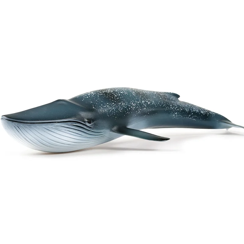 

Children's simulated static true heart marine mammal whale blue whale model toy ornaments