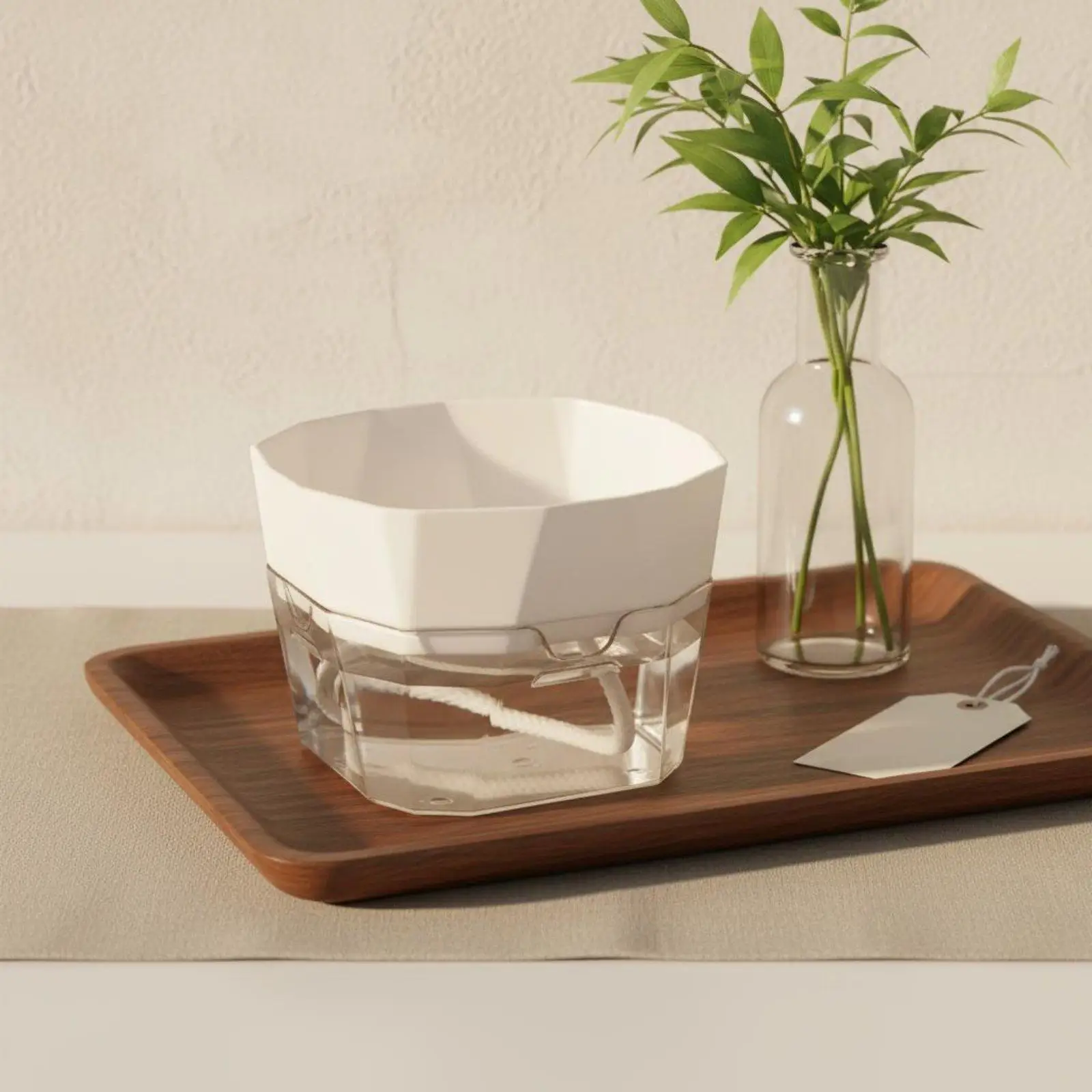 Hydroponic Vase Two Layer Self Watering Planter Clear PET Plant Pot Indoor Garden Supply for Decorative Use view 6