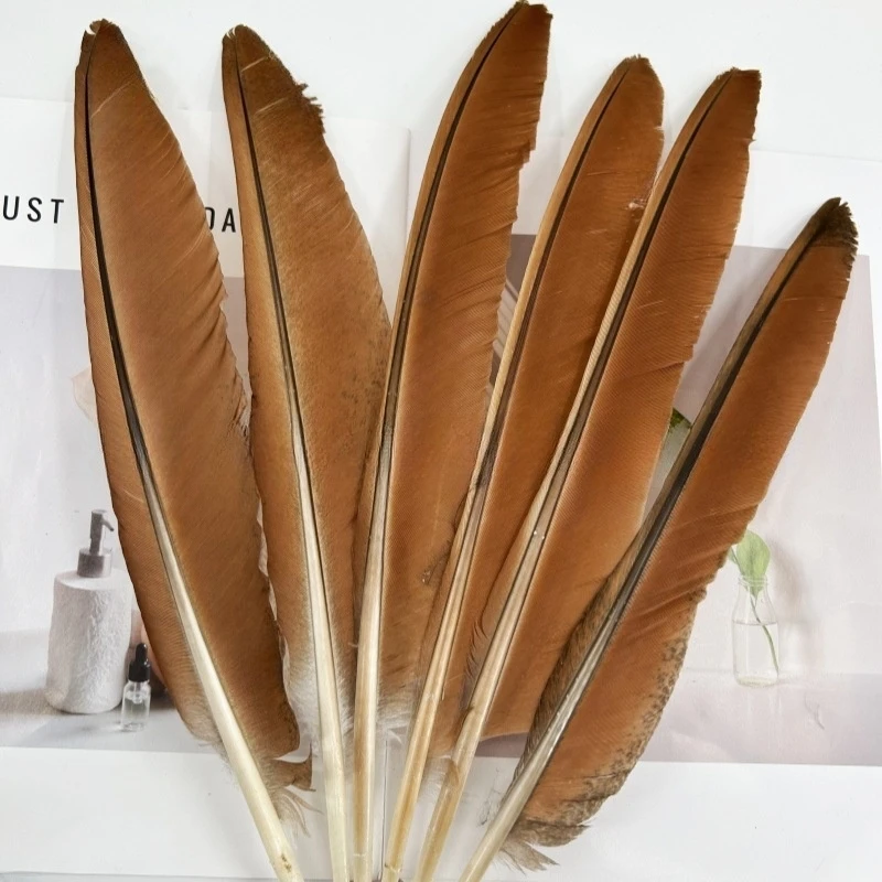 

10pcs Cinnamon Brown Peacock Flight Quill Feathers for Handwork Party Plume Carnival Headwear Decoration