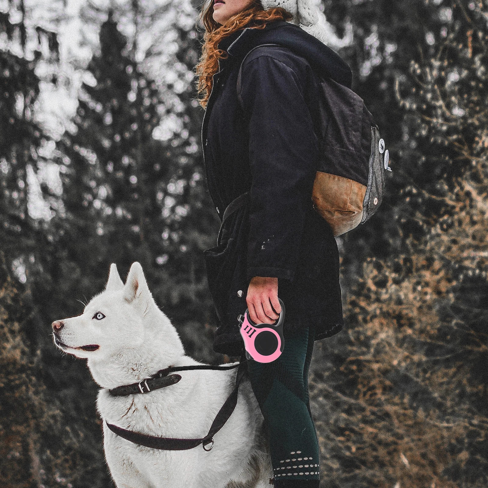 

Automatic Dog 5M Extension Durable Abs Material Portable Pet Walking Rope For Medium Large Dogs Retractable Dog Leash Pet