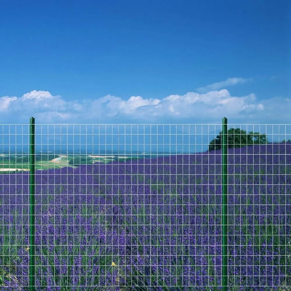 سياج حديقة مجلفن اقتصادي مقاس 48 × 50 بوصة مع شبكة 3 × 2 16GA #6