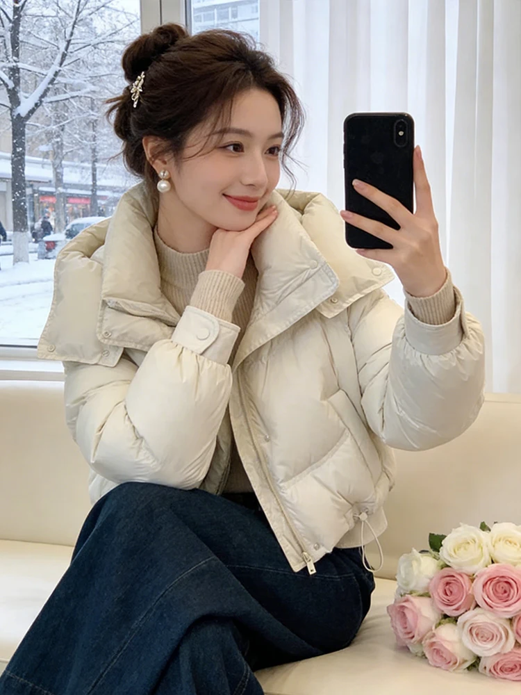 

Корейская утепленная повседневная хлопковая куртка с капюшоном, женская зимняя новая модная однотонная хлопковая куртка на молнии