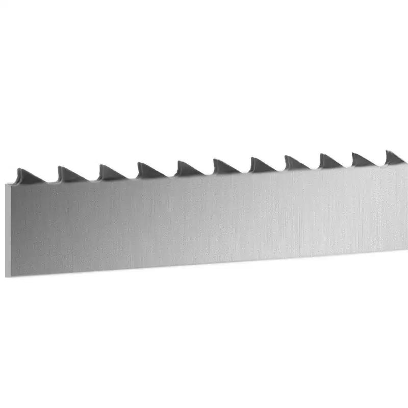 

Butcher Saw Ribbon 65x0.63x0.02 inch For Butcher Shop Slaughterhouse Kitchen, 5 Pack Carbon Steel Replacement Meat Cutting Tool Bone Saw Machine Accessory Paper Wrapped Package