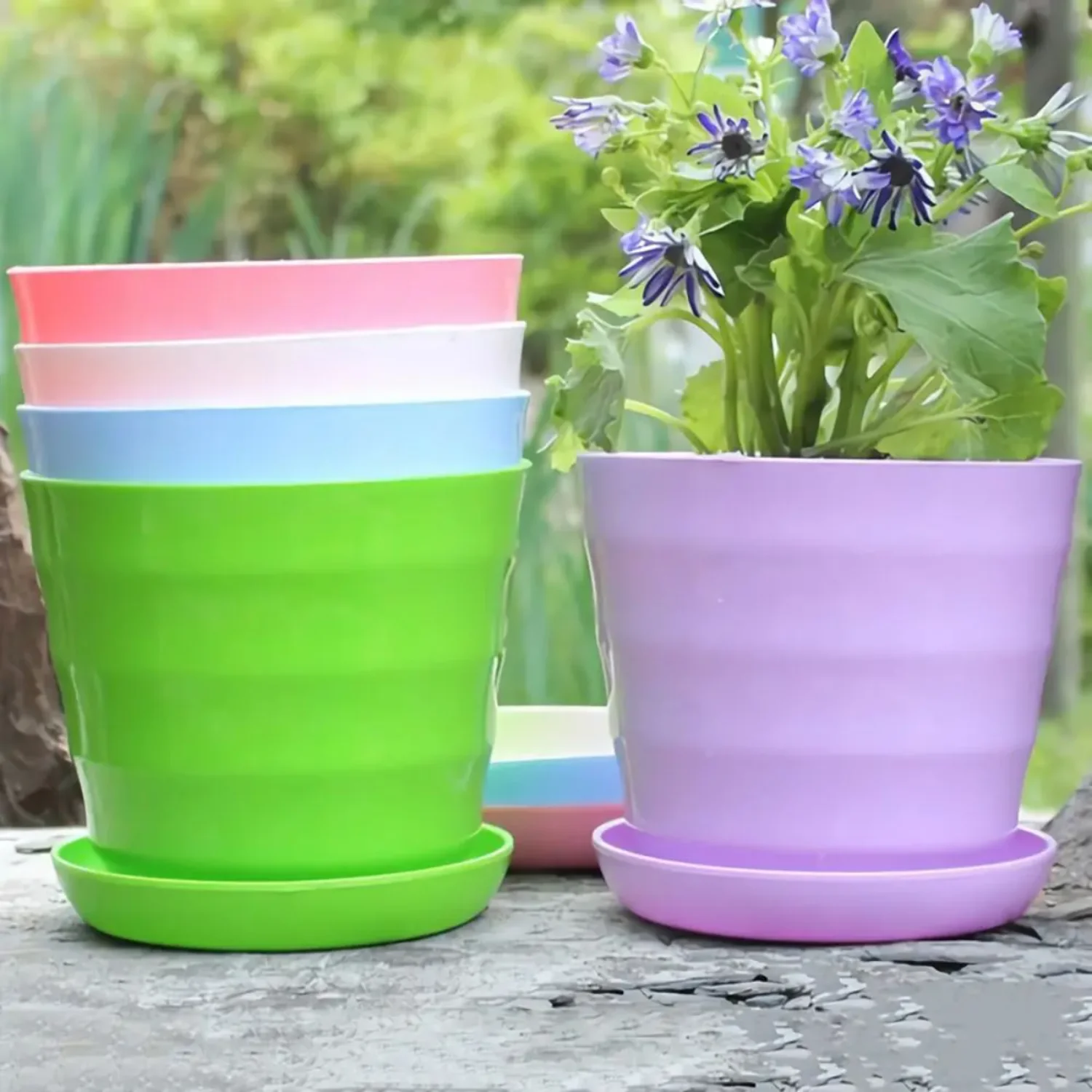 Colorful Garden Succulent Plant Flowerpot Mini Plastic Flower Pot With Trays  Office Decor Horizontal