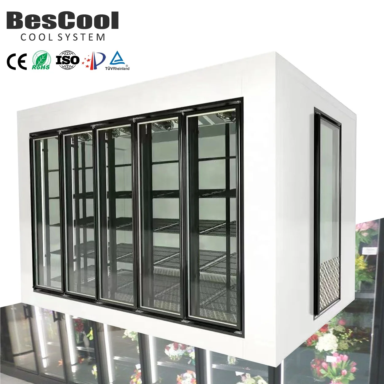 Display Cold Room Storage with 120mm Thick Glass Door for Supermarket Store & Florist Use Cooling System