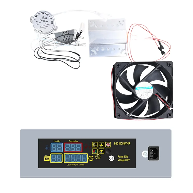 A84E-Egg Hatching D…