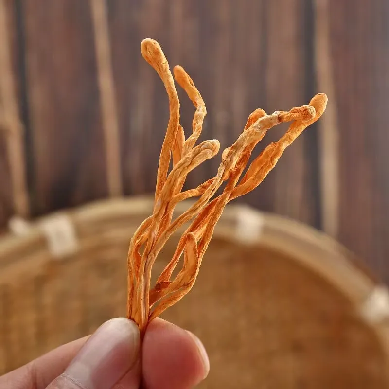 زهور كورديسيبس المجففة - عشبة مجففة طبيعية للحرف اليدوية والديكور والاستخدامات العطرية |   جودة ممتازة، نابضة بالحياة وعطرة