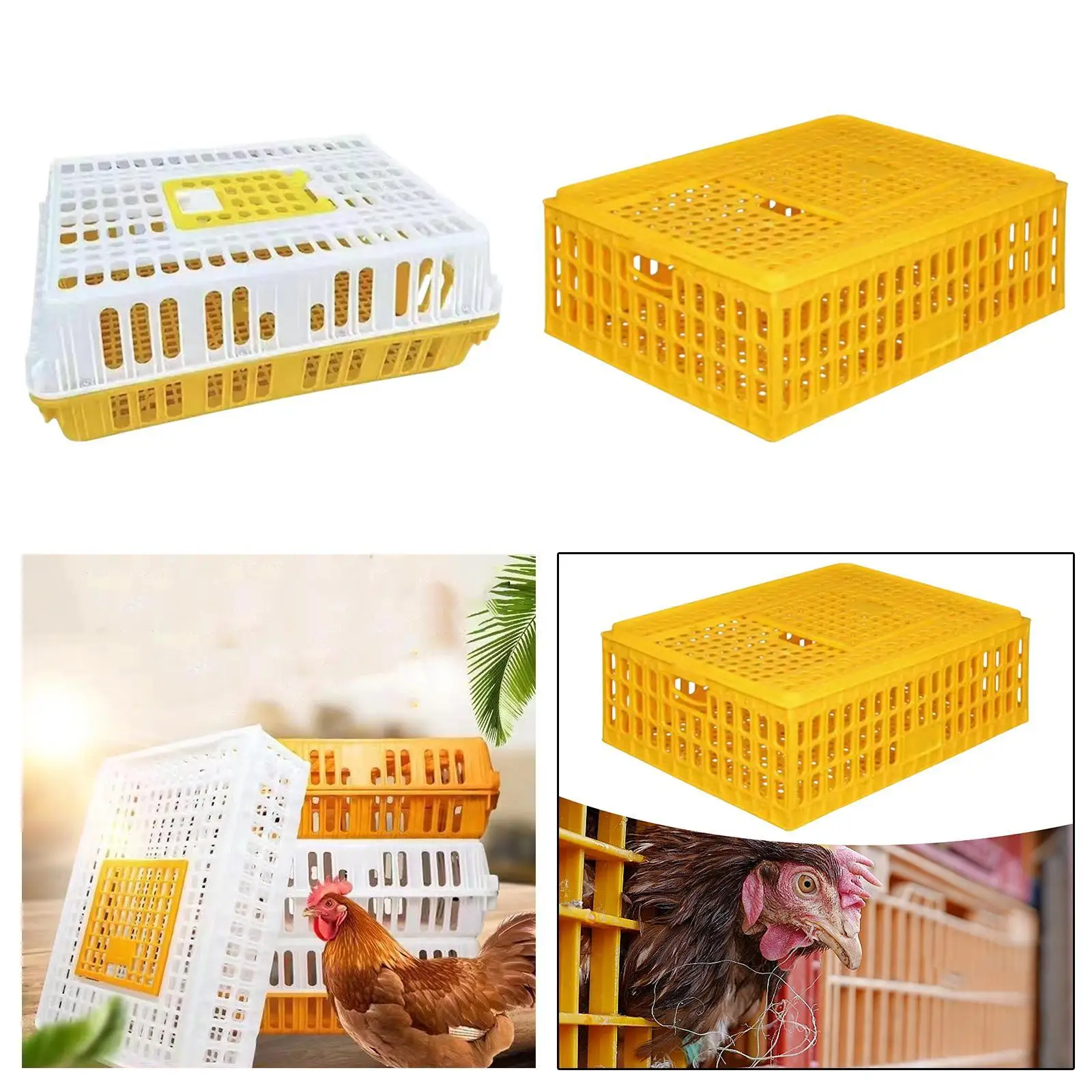 

Poultry Carrier Crate Transport Cage Chicken Carrier Crate Reinforced Sturdy