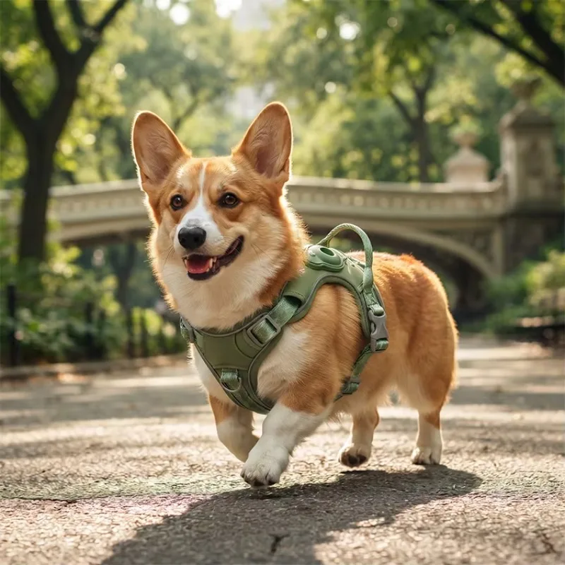 Compatible Fashion Dog Harness Anti-Pull Training Vest Breathable Mesh Comfort Secure Adjustable