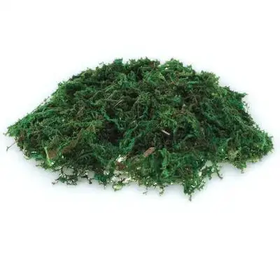 1Pack Natural-Looking Fake Moss Decor for Plant Pots Terrariums Bonsai Handicrafts Gardening Centerpieces Indoor Outdoor Micro