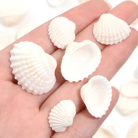 6 best sales shells - №2