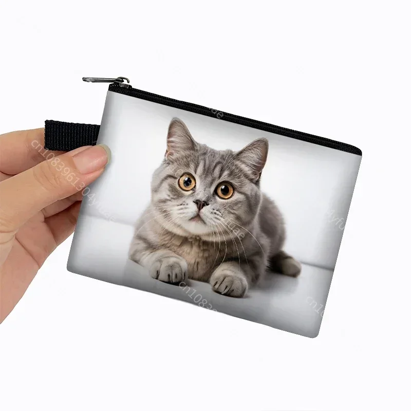 Cute Prone Cat Coin Bag Peeking Cats Women Credit Card Holder Lying Peep Felid Small Wallet Mini Pouch Money Purses Zipper Bags