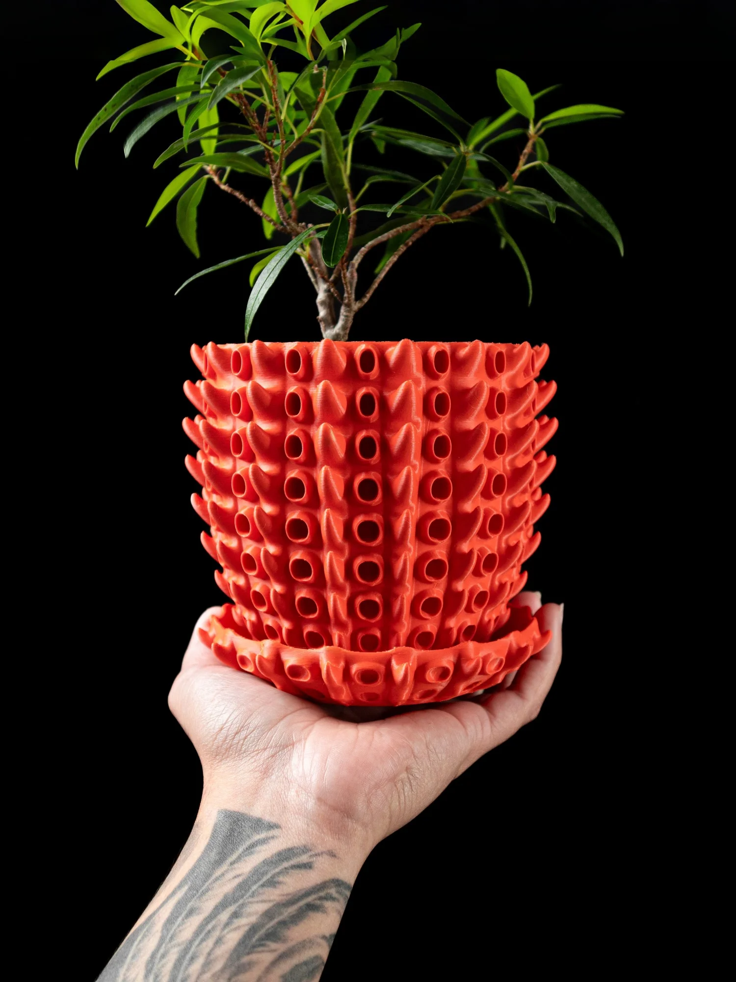 

Modern Minimalist 3D Printed Plant Pot – Biodegradable Flower Planter for Home Decor, Eco-Friendly Sustainable Gift (Barnacle)