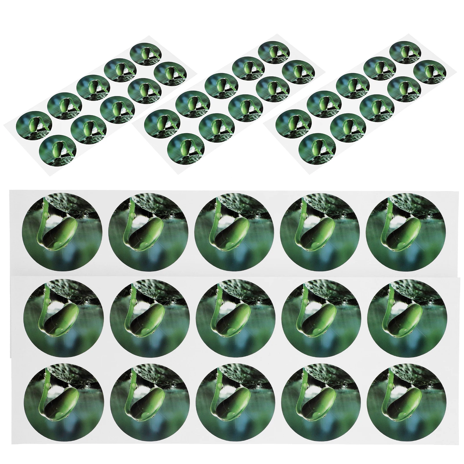 

Soilless Cultivation Labels Anti Moss Stickers PVC Seed Pot Self Adhesive Hydroponic Plant Marking Tags Gardening Supplies