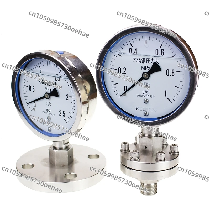 YTP100ML MF Stainless Steel Diaphragm Pressure Gauge, Flange Pressure Gauge, Diaphragm DN25 DN50