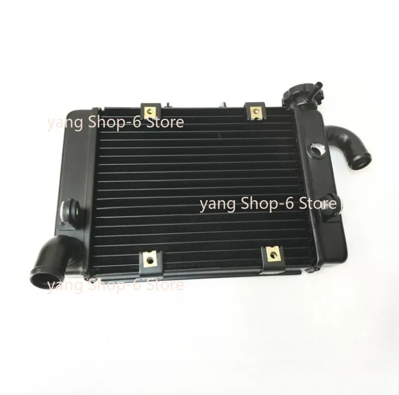 1pc Radiator for Benelli BJ300 BN302 TORNADO TNT300 STELS 300 / BN TNT 300 302