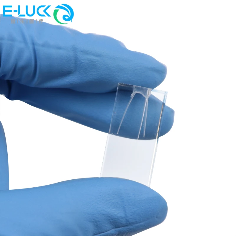 Dental Root Canal Block Endo Tooth Training Block Model  Pulp Cavity Training Clear Resin Demo Student Study Teaching