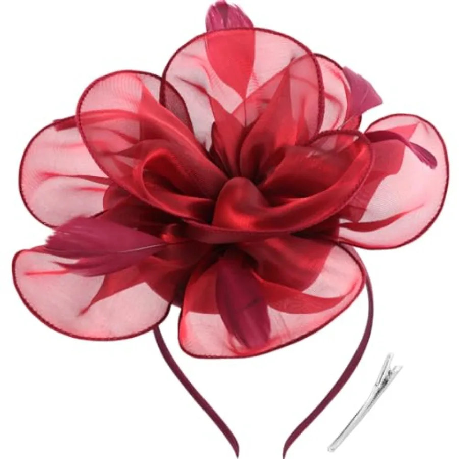 DRESHOW Fascinators Hat Tea Party Headwear Ribbons Feathers on a Headband and a Clip for Women