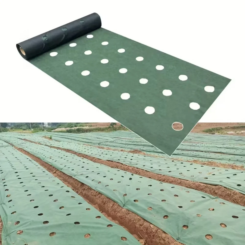 Non Woven Grass Barrier Fabric 100 cm x 600 cm UV Stabilized Suppressor with 6 Ground Staples for Vegetable Beds