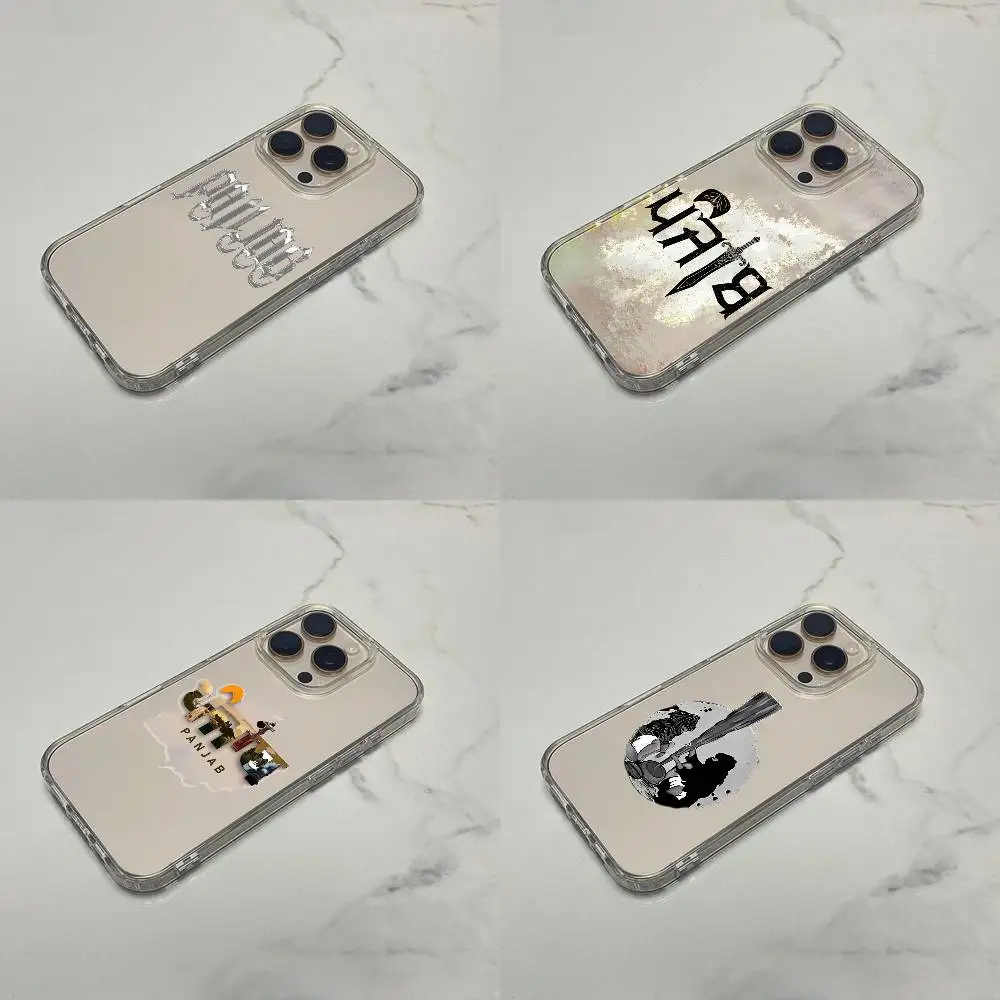 

State India Punjab MAP Phone Case For iPhone 17,16,15,14,13,12,11 Plus,Pro,Max,Plus,E,SE4,Mini Transparent Box