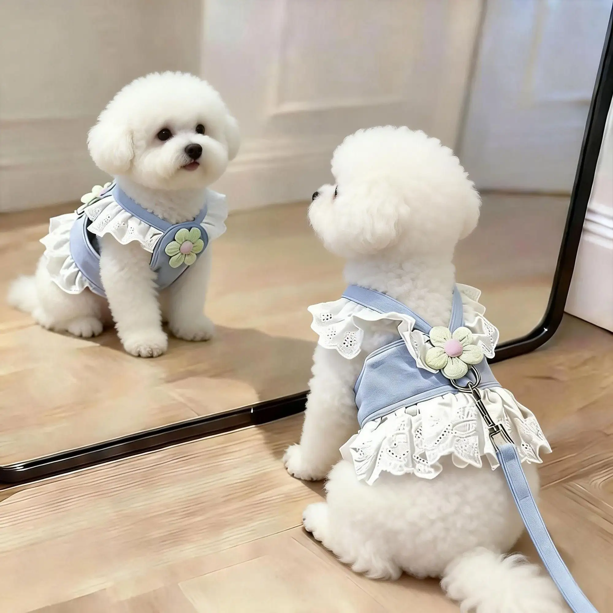 Princess Pet Dress Harness & Leash Set 4