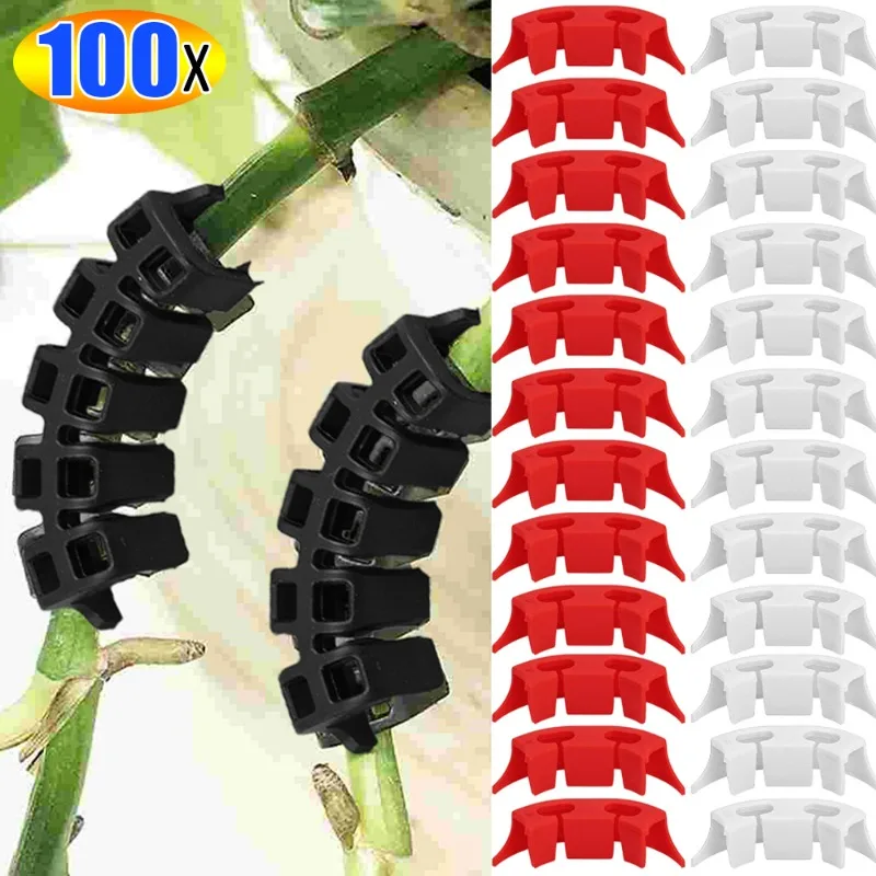 100/50PCS Plastic Plant Bender 90 Degree Low Stress Clip Reuseable Plant Stem Branche Bending Support Clamps Training Clips