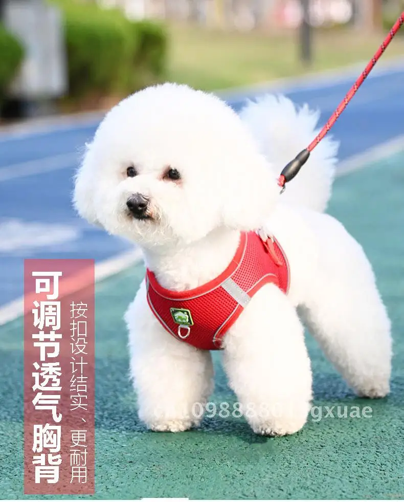 

Small Dog Vest Traction Rope Chest Strap Bean Dog Teddy Bome Pet Harness - Non-Extendable Other Material