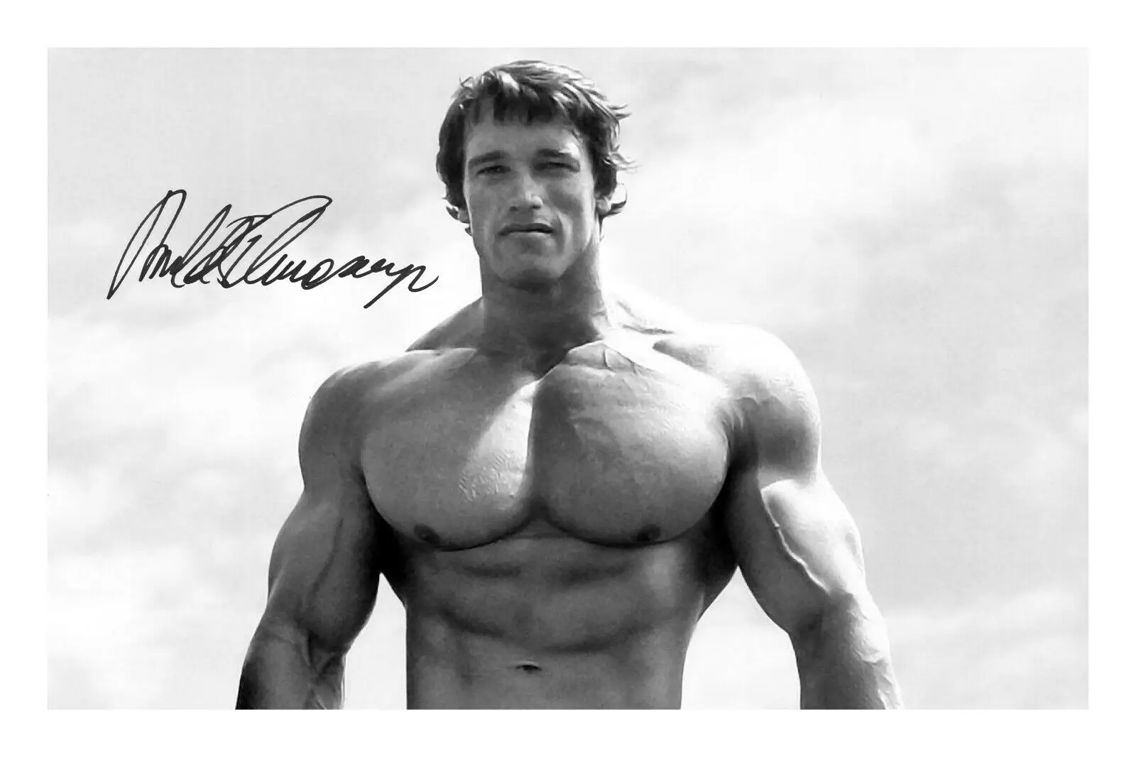 

Arnold Schwarzenegger Signed Photo Art Film Print Silk Poster for Your Home Wall Decor 24x36inch