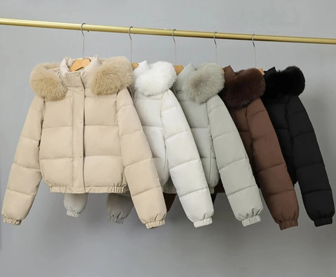 معطف شتوي من القطن بياقة كبيرة للنساء على الطراز الكوري مع قلنسوة وسميكة ودافئة وقصيرة مبطنة ملابس فضفاضة مبطنة #1