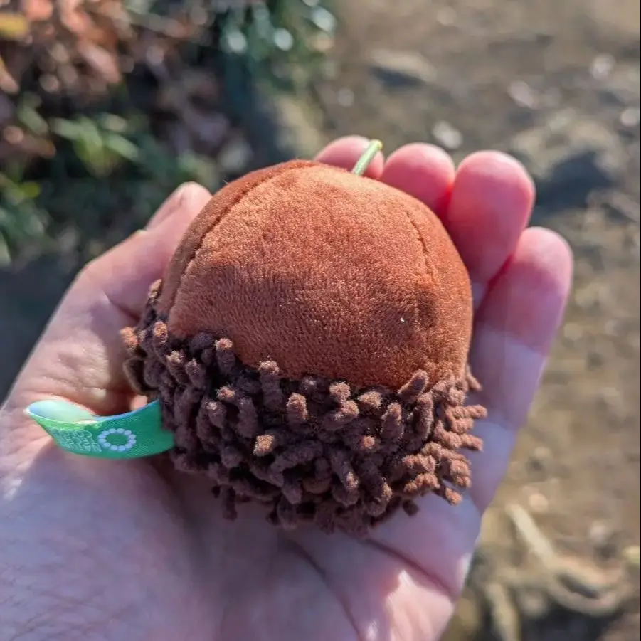 Ikimon capsule toys cute kawaiiNTC MONO Acorn Plush Toy 1 stuffed Quercus Mizunara Sawtooth Oak Beech forest nut pendant figures