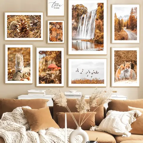 Cascata Posters para decoração do quarto, esquilo, avelã, raposa, ponte, floresta, estrada, gansos, Wall Art, pintura da lona, fotos