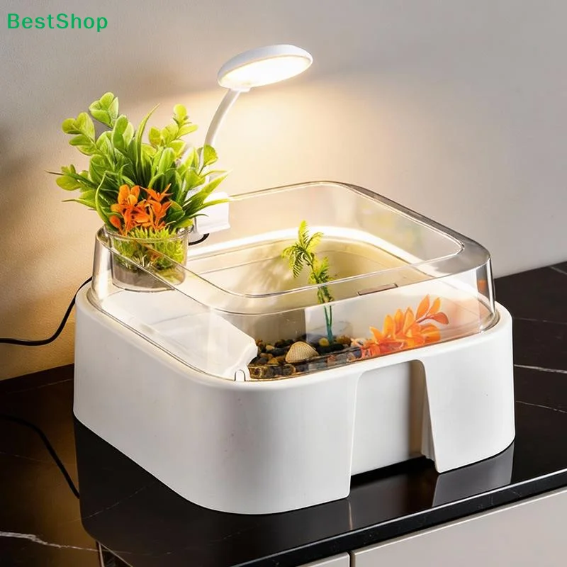 Home Decor Habitat - ♩ 透明なカメタンク、家庭用デスクトップ装飾カメボックス、日光浴台付き、シンプルな爬虫類飼育場