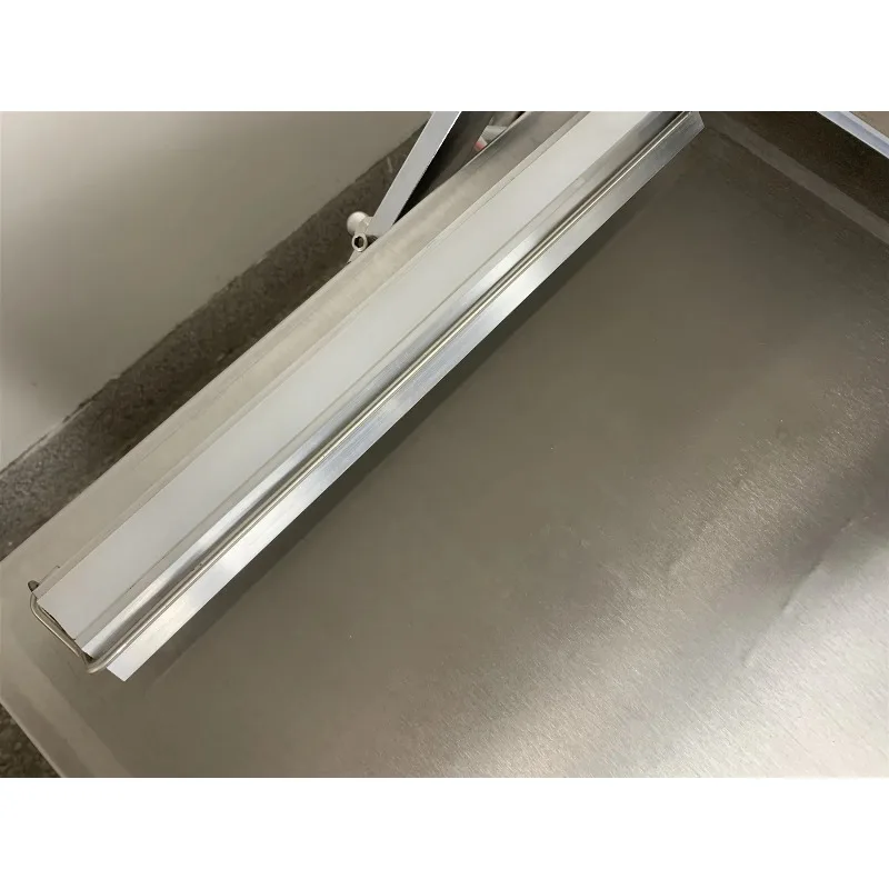 DZ-400/2SA Commercial Double Chamber Nitrogen Forming Vacuum Packaging Machine for Food